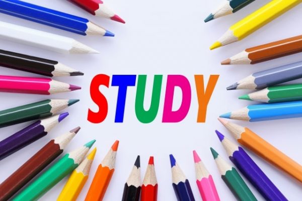 勉強と色鉛筆